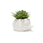 Alternate image 1 for Prickles the Hedgehog Indoor Ceramic Planter in White