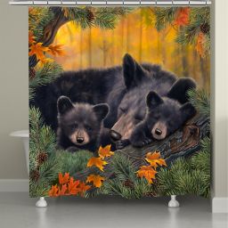 Bear Shower Curtains Bed Bath Beyond