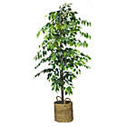 Alternate image 0 for 72-Inch Faux Ficus Tree in Basket