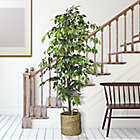 Alternate image 4 for 72-Inch Faux Ficus Tree in Basket