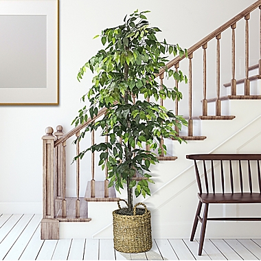 72-Inch Faux Ficus Tree in Basket. View a larger version of this product image.