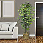 Alternate image 3 for 72-Inch Faux Ficus Tree in Basket