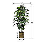 Alternate image 5 for 72-Inch Faux Ficus Tree in Basket