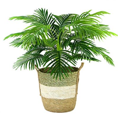 42&#34; x 28&#34; Artificial Palm Plant in Basket - LCG Florals: Indoor Faux Floor Plant, Polyester Greenery in Wicker Basket