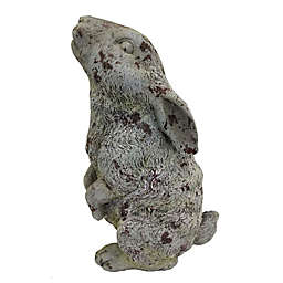 Bee & Willow™ Home Polyresin Rabbit Statue
