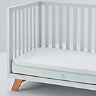 Alternate image 6 for BEDGEAR Baby DRI-TEC&reg; Performance Crib and Toddler Mattress