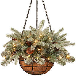 National Tree 20-Inch Frosted Arctic Spruce Pre-Lit Hanging Basket