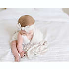 Alternate image 1 for Copper Pearl&trade; Newborn Oat Knot Bow Headband in Cream