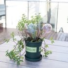 Alternate image 9 for Bee &amp; Willow&trade; Garden Watering Stake