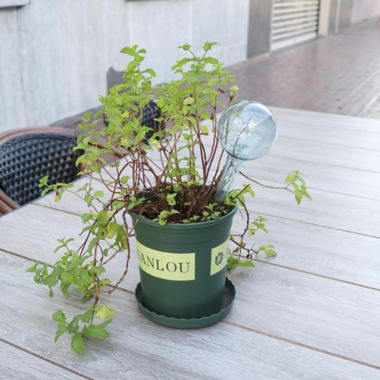 Bee &amp; Willow&trade; Garden Watering Stake. View a larger version of this product image.