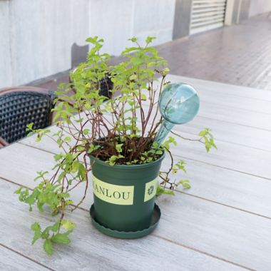 Bee &amp; Willow&trade; Garden Watering Stake. View a larger version of this product image.