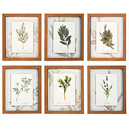 Prinz Ava Barrett Botanical Herbs Framed Wall Art (Set of 6)