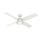 Alternate image 0 for Hunter&reg; Mercado 50-Inch 2-Light LED Ceiling Fan in White