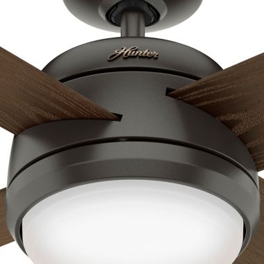 Hunter&reg; Oceana 52-Inch Ceiling Fan with LED Light. View a larger version of this product image.