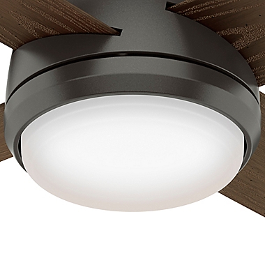 Hunter&reg; Oceana 52-Inch Ceiling Fan with LED Light. View a larger version of this product image.