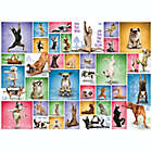 Alternate image 2 for Eurographics 1,000-Piece Yoga Dogs Puzzle