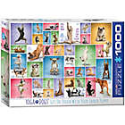 Alternate image 0 for Eurographics 1,000-Piece Yoga Dogs Puzzle