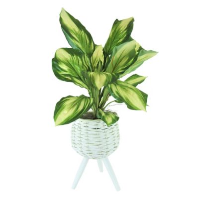 28&#34; x 14&#34; Artificial Hosta Plant in Basket Stand White - LCG Florals: Faux Floor Plant, Indoor Polyester Decor