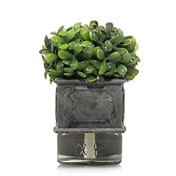 Yankee Candle® ScentPlug® Boxwood Topiary Fragrance Diffuser