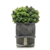 Yankee Candle&reg; ScentPlug&reg; Boxwood Topiary Fragrance Diffuser