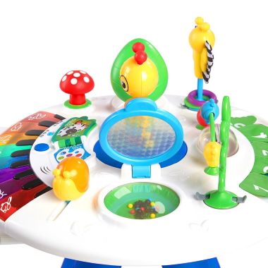 Baby Einstein&trade; Around We Grow&trade; 4-in-1 Discovery Center. View a larger version of this product image.