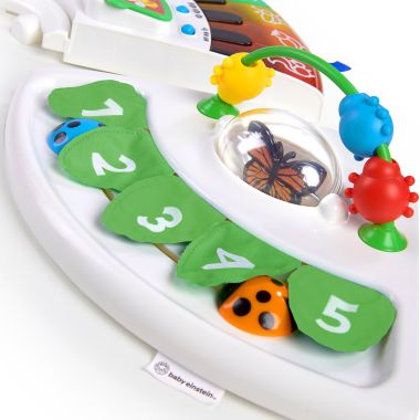 Baby Einstein&trade; Around We Grow&trade; 4-in-1 Discovery Center. View a larger version of this product image.