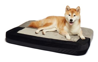Precious Tails Restology Orthopedic Foam Convertible Sofa Pet Bed in Grey