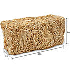 Alternate image 2 for FloraCraft&reg; Decorative Sun-Bleached Straw Bale in Natural