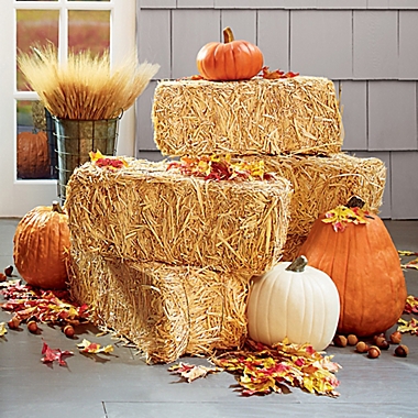 FloraCraft&reg; Decorative Sun-Bleached Straw Bale in Natural. View a larger version of this product image.