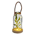 Alternate image 0 for Elements 10-Inch LED Glass Bottle with Faux Greenery