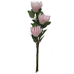 W Home King Protea Spray Flower Stems in Light Pink (Set of 3)