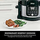 Alternate image 13 for Ninja&reg; Foodi&reg; 6.5 qt. 11-in-1 Pro Pressure Cooker + Air Fryer with Stainless Finish