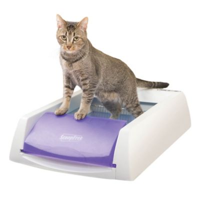 disposable crystal litter tray