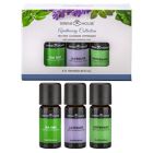 Alternate image 0 for Serene House&reg; 3-Pack Apothecary 10 mL Essential Oils Gift Set