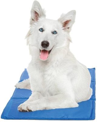 pawslife pet cot