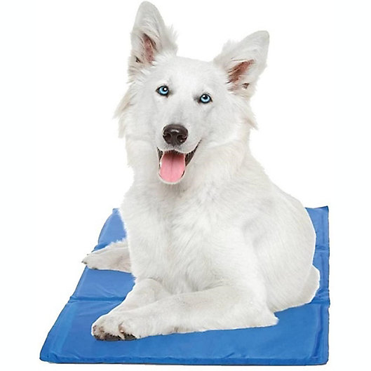 Alternate image 1 for PAWSLIFE® Cooling Pad in Blue