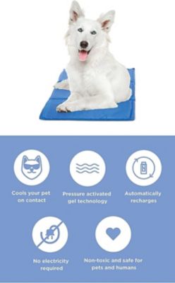 pawslife cooling pad