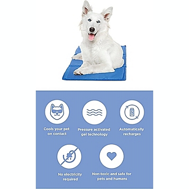 PAWSLIFE&reg; Large Cooling Pad in Blue. View a larger version of this product image.