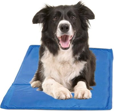 PAWSLIFE&reg; X-Large Cooling Pad in Blue