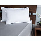 Alternate image 1 for Duck Feather and Down Firm Support Side/Back Sleeper Queen Bed Pillow