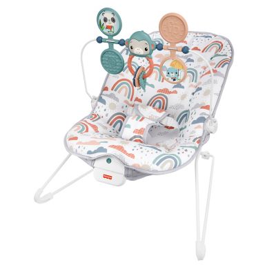 Fisher price arrow 17 baby bouncer online