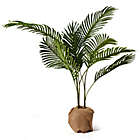 Alternate image 0 for Elements 32-Inch Artificial Areca Palm Tree