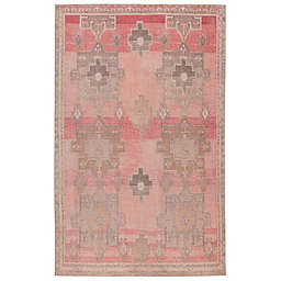 Vibe by Jaipur Living Faron Rug in Pink/Tan