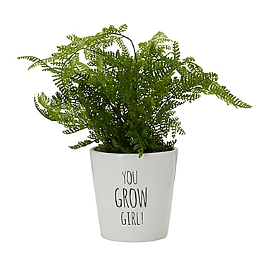 Elements 14-Inch Artificial Air Fern Plant in Ceramic Pot. View a larger version of this product image.