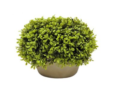 Bee &amp; Willow&trade; Pre-Lit Faux Boxwood Ball Topiary