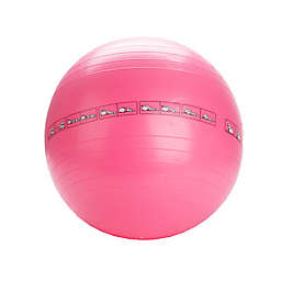 Mind Reader 25.59-Inch Exercise Yoga Birthing Ball in Pink
