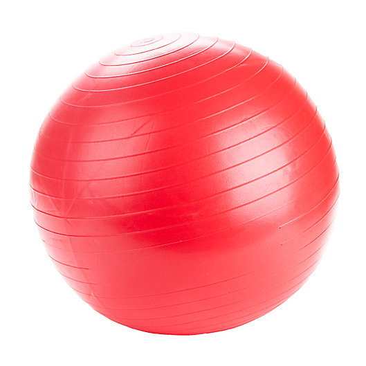 Alternate image 1 for Mind Reader 25.59-Inch Exercise Yoga Ball