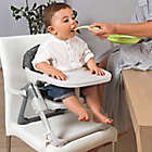 Alternate image 1 for Chicco Take-A-Seat&trade; 3-in-1 Travel Seat in Grey Star