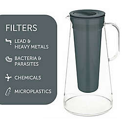 LifeStraw® BPA-Free Water Filter Pitcher