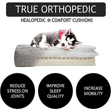 Club Nine Pets Metro Orthopedic Large Dog Bed in Charcoal. View a larger version of this product image.